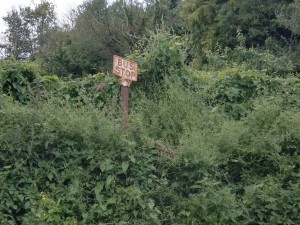 Stanton Harcourt Bus stop