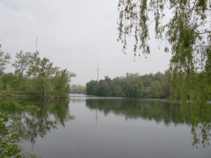 TOronto IslandPark