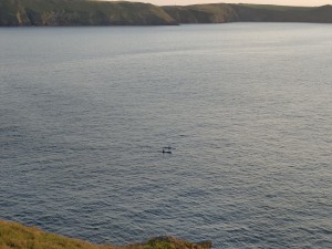Cornwall_Sea kayakers