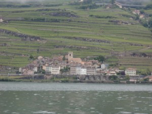 Lausanne_Vine terraces