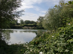 Aston's Eyot - Thames