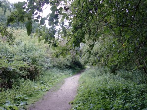 Aston's Eyot - path