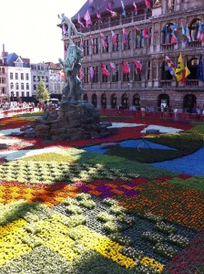 flowers Antwerp